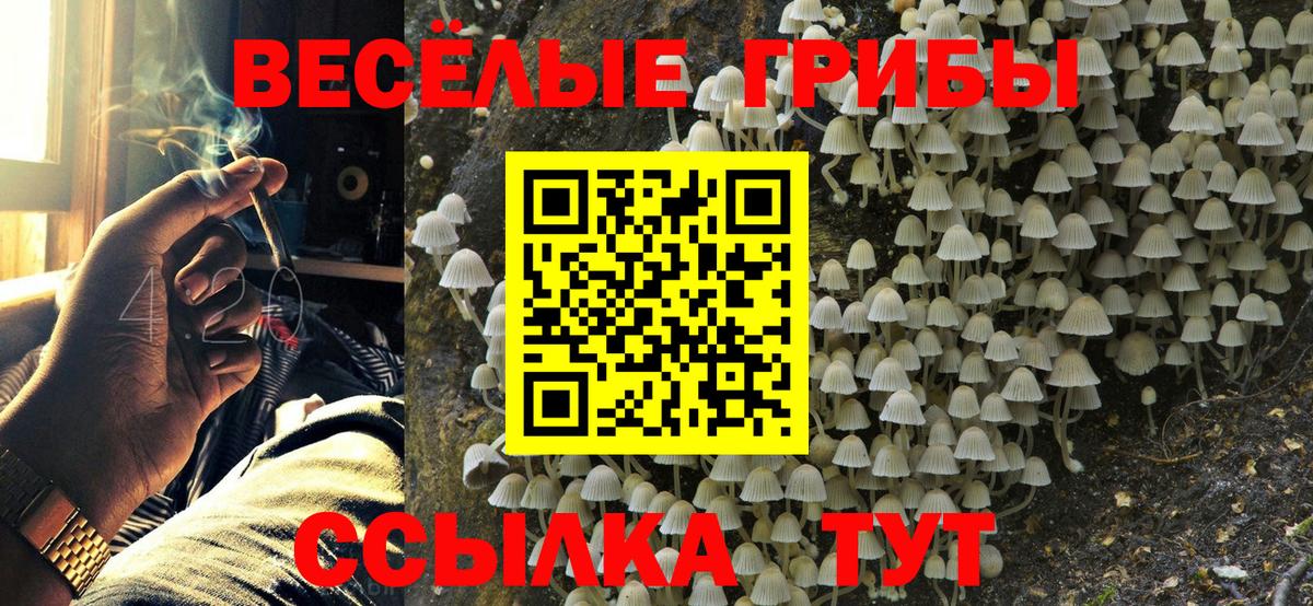 Чернушка  Галлюциногенные грибы MAGIC MUSHROOMS  Галлюциногенные грибы Cubensis  Вход с VPN 